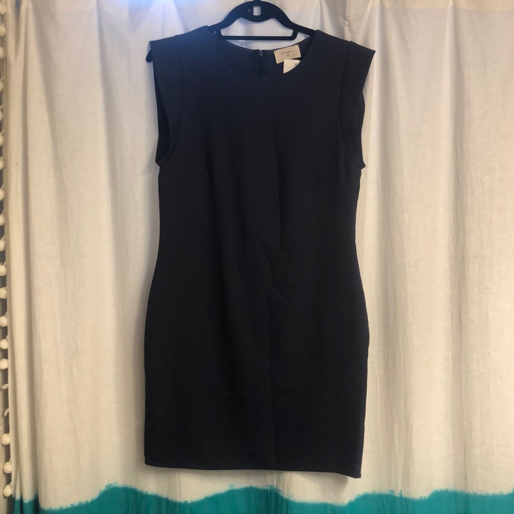 Everly shift dress NWT